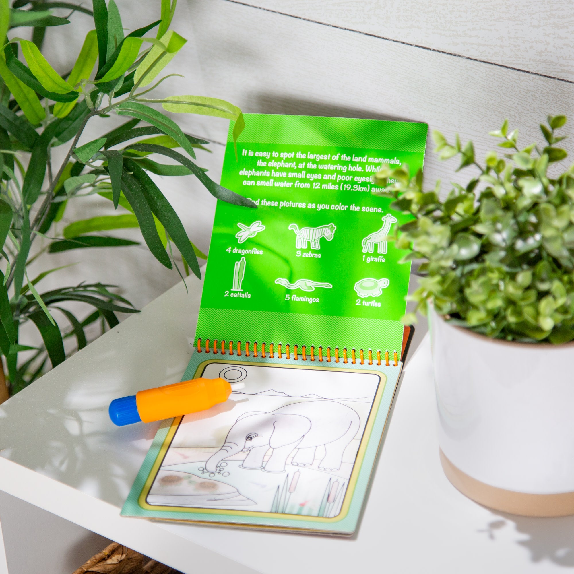 Water Wow! Water-Reveal Pad - Safari - Image 9