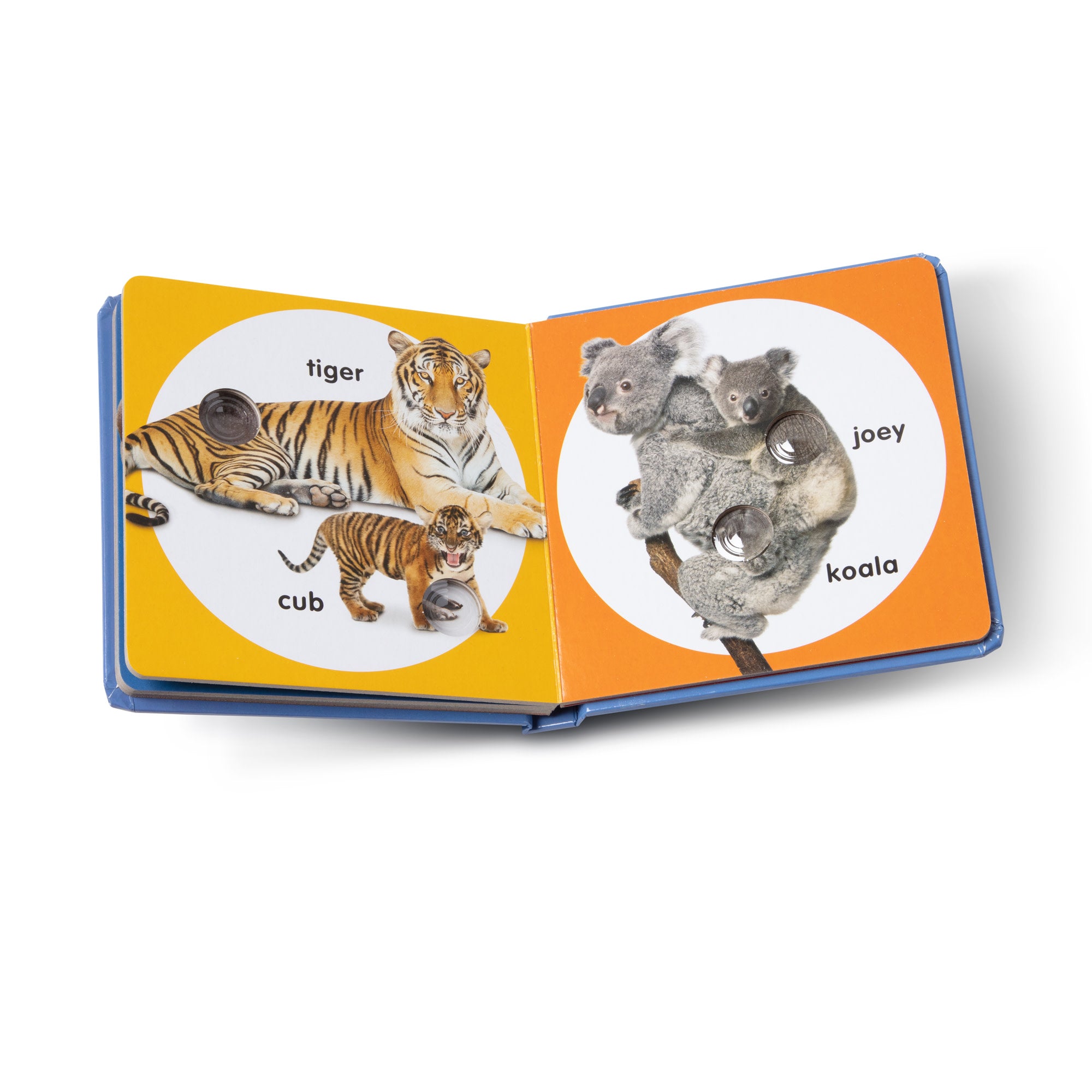 Poke-a-Dot: Wild Animal Families Board Book - Image 4