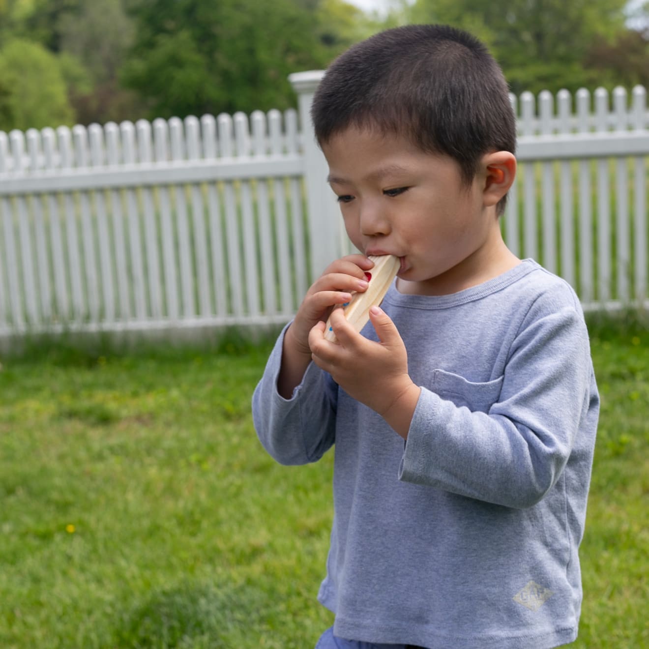 Band-in-a-Box - Hum! Jangle! Shake! - Image 7