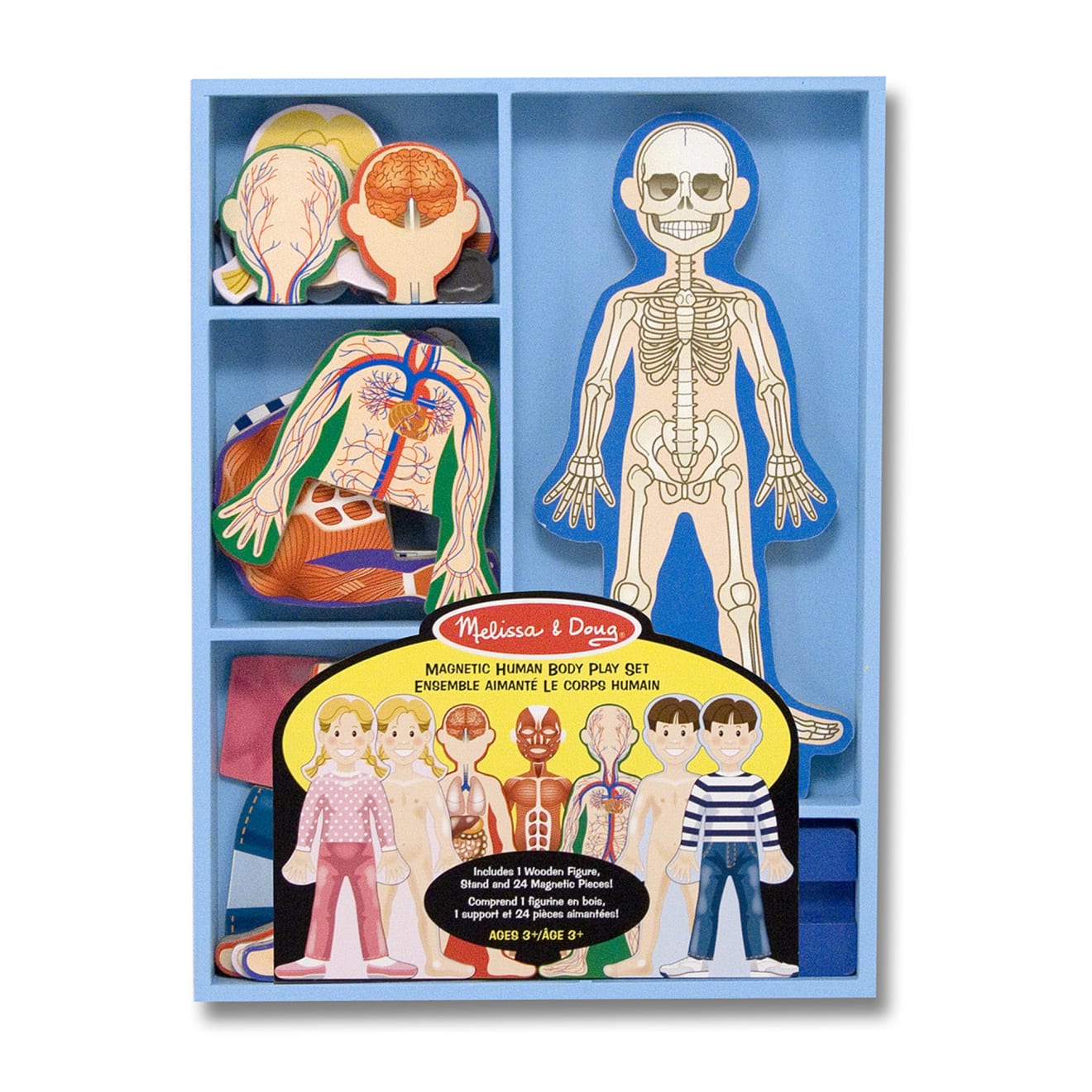 Magnetic Human Body Play Set - Image 3