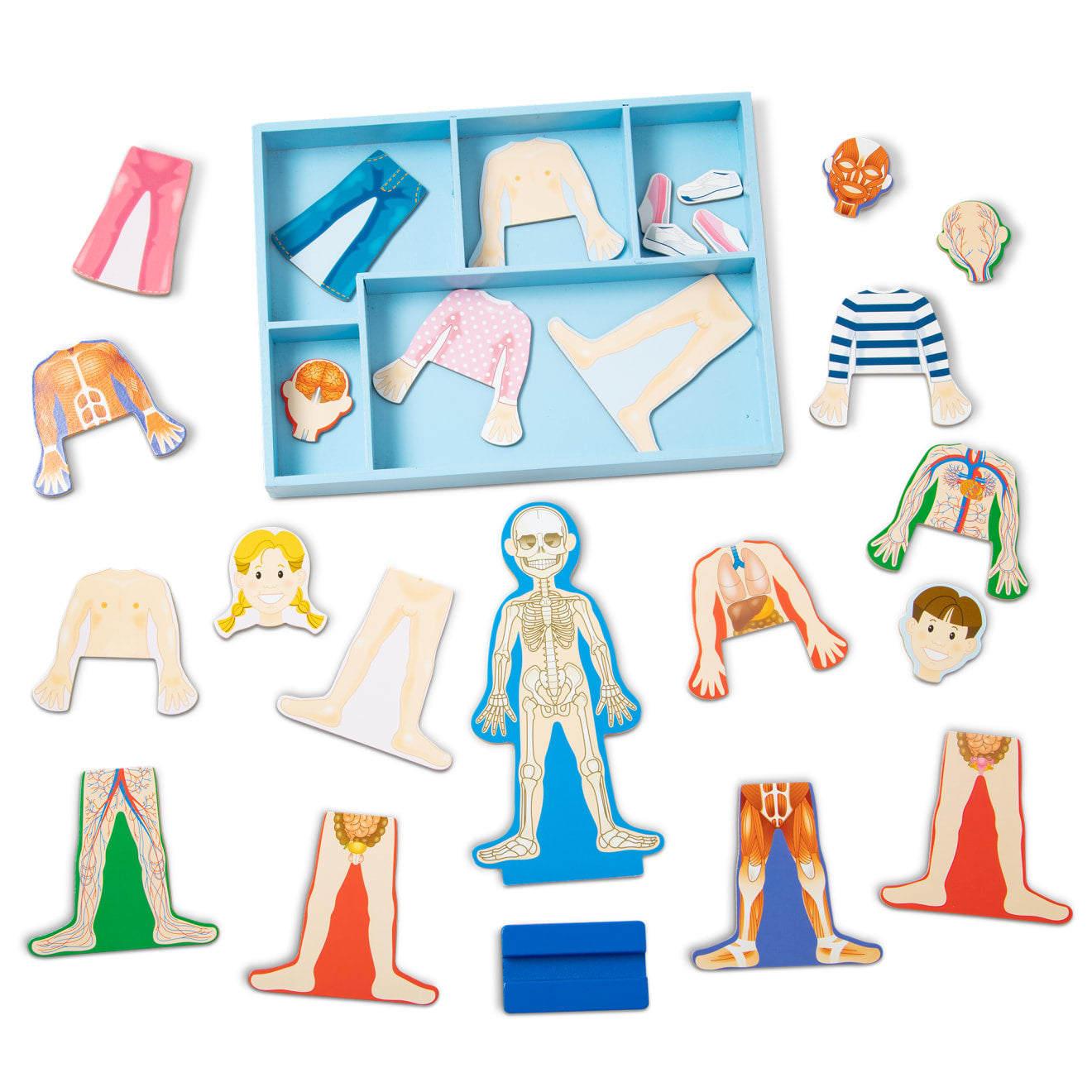 Magnetic Human Body Play Set - Image 4