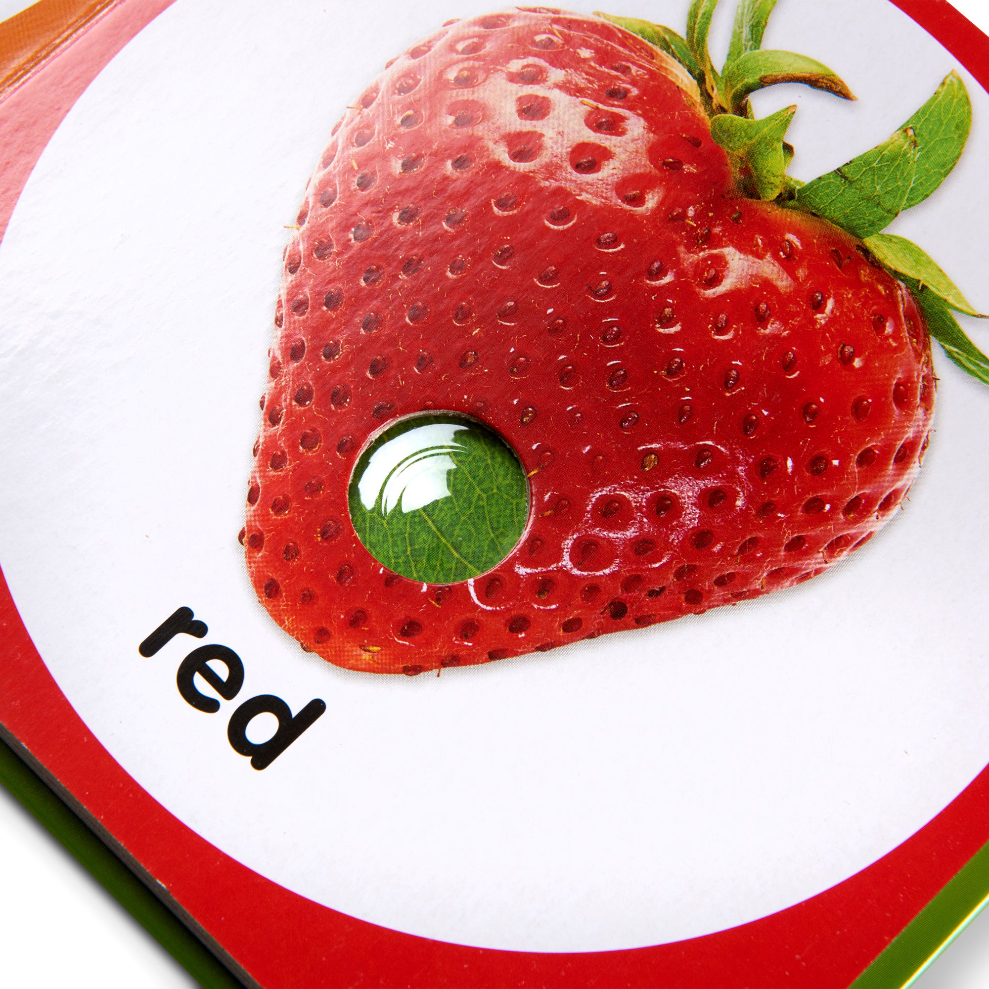 Poke-a-Dot: First Colors Board Book - Image 10