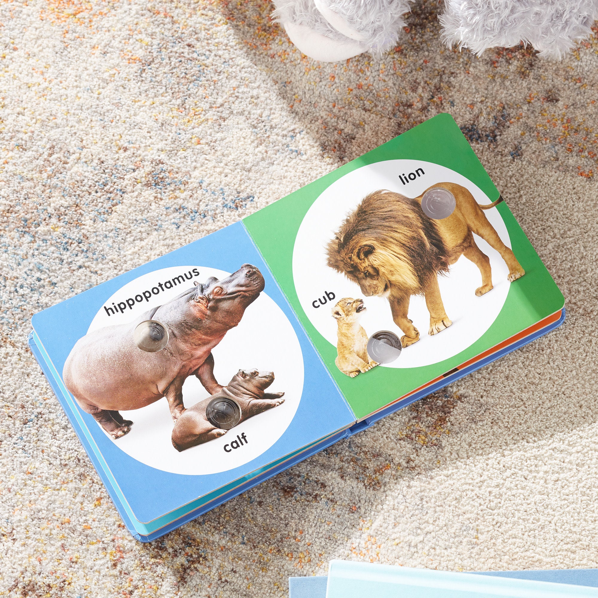 Poke-a-Dot: Wild Animal Families Board Book - Image 9